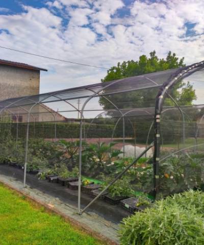 Hail-greenhouse with straight lateral